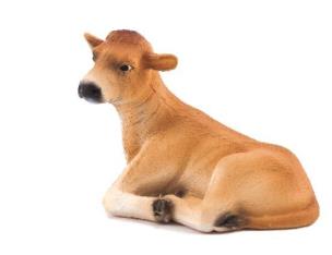 Opakowanie Cielę rasy Jersey leżące ANIMAL PLANET