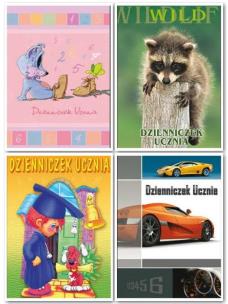 Opakowanie Dzienniczek ucznia A6/16K/BR 20 szt.