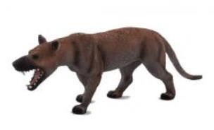 Opakowanie Hienodon ANIMAL PLANET