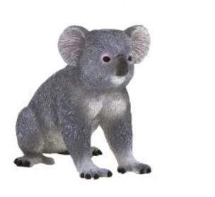 Opakowanie Koala ANIMAL PLANET