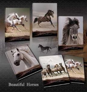 Opakowanie Kołobrulion A4/96K/TW kratka 5 szt. Konie