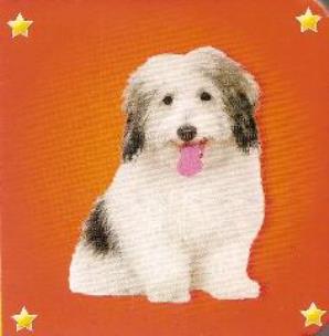 Okładka książki Kosteczka - Pies