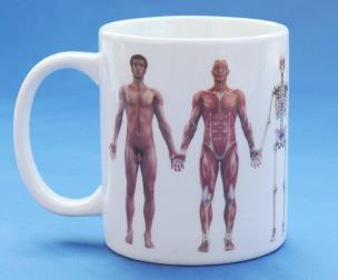 Opakowanie Kubek - Anatomiczny DISA