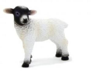 Opakowanie Owieczka czarnogłówka stojąca ANIMAL PLANET