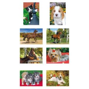 Opakowanie Pakiet Puzzle 54x8 mini - Zwierzęta AXEL