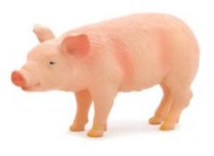 Opakowanie Prosię ANIMAL PLANET