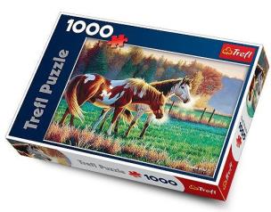 Opakowanie Puzzle 1000 Mroźny poranek na pastwisku TREFL
