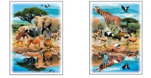 Opakowanie Puzzle 2x50 Afrykańskie zwierzęta AXEL