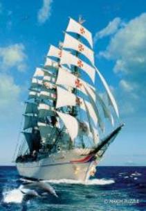 Opakowanie Puzzle 600 - Żaglówka Maximus MAXIM