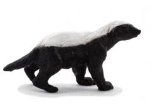 Opakowanie Samiec miodożera ANIMAL PLANET