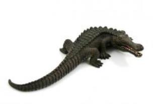 Opakowanie Sarkozuch ANIMAL PLANET