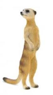 Opakowanie Surykatka ANIMAL PLANET