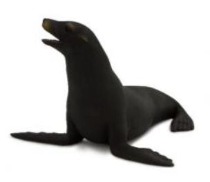 Opakowanie Uchatka kalifornijska ANIMAL PLANET