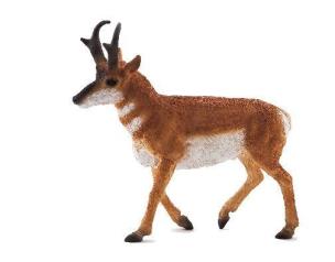 Opakowanie Widłoróg ANIMAL PLANET