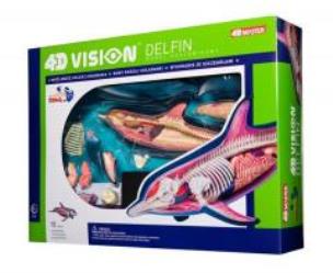 Opakowanie Anatomia zwierząt - Delfin