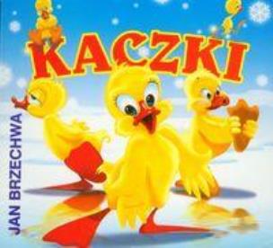 Okładka książki BN Kaczki SARA