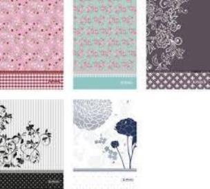 Opakowanie Brulion B5/120K kratka Ladylike (5szt)