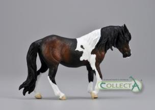 Opakowanie Klacz rasy Dartmoor hill - gniada