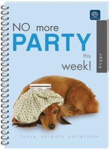 Opakowanie Kołozeszyt B5/160K kratka (5szt)