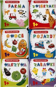 Okładka książki Maluszek poznaje MIX 10x10 (18szt)