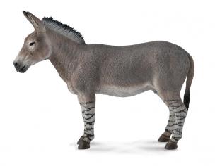 Okładka książki OSIOŁ AFRYKAŃSKI (DZIKIE - L)