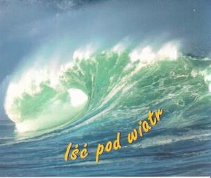 Okładka książki Perełka 111 - Iść pod wiatr