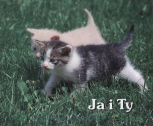 Okładka książki Perełka 137 - Ja i Ty.