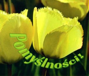 Okładka książki Perełka 199 - Pomyślności!