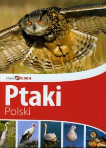 Okładka książki Piękna Polska Ptaki Polski wyd. II Dragon