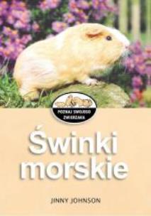 Okładka książki Poznaj .... - Świnki morskie