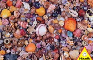 Opakowanie Puzzle 1000 - Muszelki PIATNIK