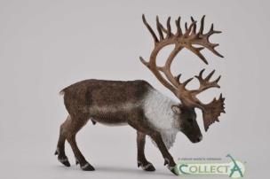 Okładka książki Renifer