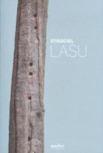 Okładka książki Stroiciel lasu