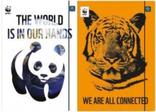 Opakowanie Teczka z gumką A4+ Eko Adult (10szt)