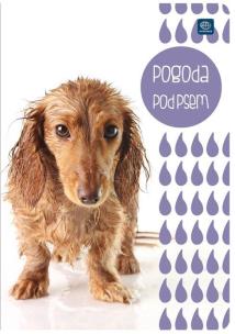 Opakowanie Zeszyt A5/16K gładki (20szt)