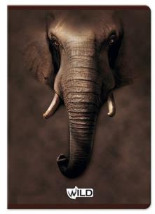 Opakowanie Zeszyt A5 w kratkę 80 kartek