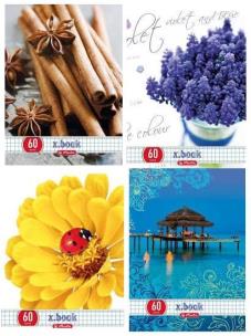 Opakowanie Zeszyt A5/60K kratka Free (5szt)