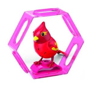 Opakowanie BigiBirds 3 z ramką Blaze