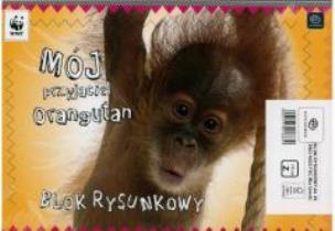 Opakowanie Blok rysunkowy A4/20 Eko Kis FSC mix (10szt)