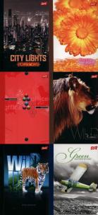 Opakowanie Brulion A5  w kratkę 96 kartek 10 sztuk mix