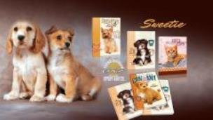 Opakowanie Brulion A5/96K kratka 1070 Sweetie (5szt)