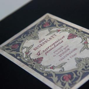 Okładka książki Czarownica powołana Przyczynek do historji spraw przeciw czarownicom w Polsce