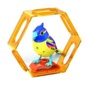 Opakowanie DigiBirds 3 z ramką Brazil