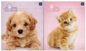 Opakowanie Dzienniczek ucznia A6/16K TO 414B/515 (10szt)