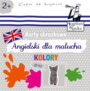Karty obrazkowe Angielski dla malucha Kolory. Autor: praca zbiorowa. Multiszop.pl Okładka książki Karty obrazkowe Angielski dla malucha Kolory