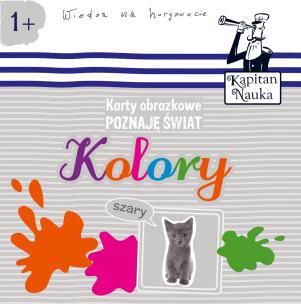 Karty obrazkowe Poznaję świat Kolory. Autor:   Praca zbiorowa. Multiszop.pl Okładka książki Karty obrazkowe Poznaję świat Kolory