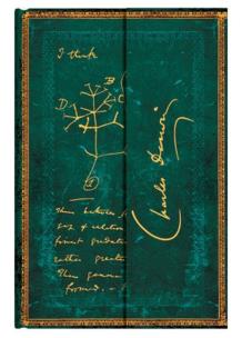 Opakowanie Notatnik Mini Darwin Tree of Life w linie