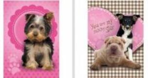 Opakowanie Notes A7 Star Animals (30szt) DERFORM