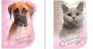 Opakowanie Notes kształtowy A6 Star Animals (15szt) DERFORM