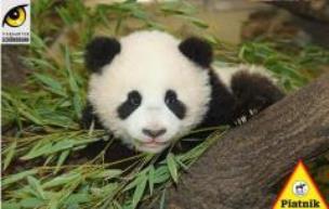Opakowanie Puzzle 1000 - Mała panda PIATNIK